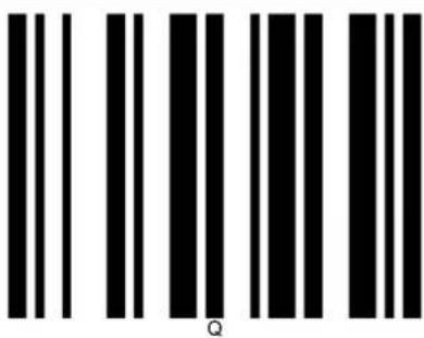 Elgin EL5220 - ASCII Table - 52
