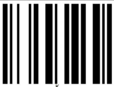 Elgin EL5220 - ASCII Table - 46