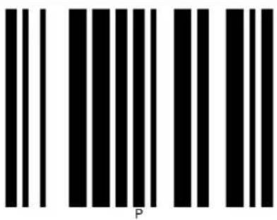 Elgin EL5220 - ASCII Table - 51