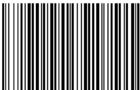 Black and white barcode image with vertical lines on both sides
