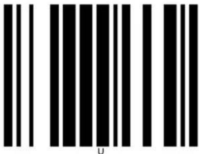 Elgin EL5220 - ASCII Table - 56