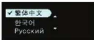 ✓ 繁体中文 한국어 Русский