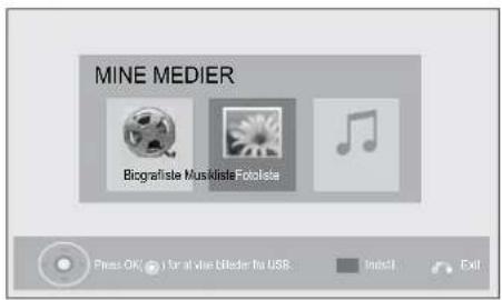 MINE MEDIER Biografiste Musikliste Fotolista Press OK! i for all wise biftered for USB... Indo11 Exit