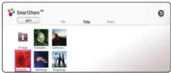 SmartShare™ MTP File Foto Mask UP image Hyhangwe UpShare1 Pengue JIMFalk.jpg Pengue.jpg