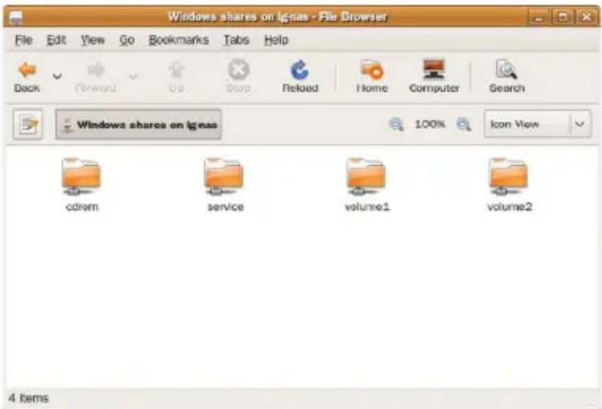 Windows shares on ignas - File Browser File Edit View Go Bookmarks Tabs Help Dock Forward Stop Reload Home Computer Search Windows shares on ignas 100% Icon View cdrom service volume1 volume2 4 items