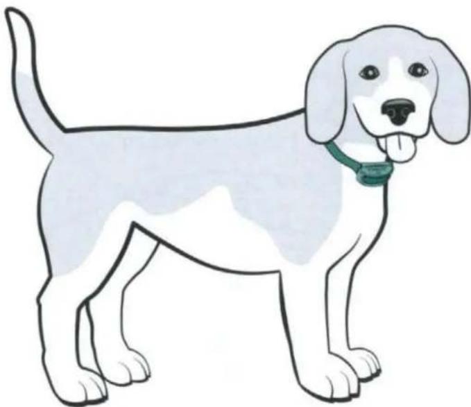 PETSAFE Classic In-Ground Fence PIG00-17441 - 3 - 5