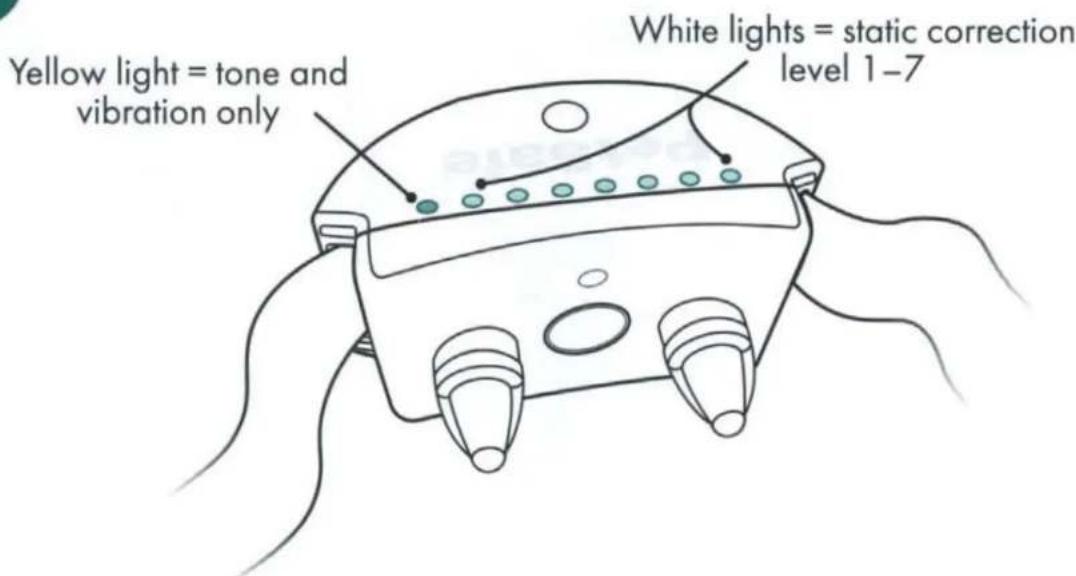 Yellow light = tone and vibration only White lights = static correction level 1-7