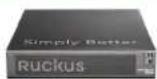 Ruckus Wireless ZoneFlex C110 - Ruckus™ - 9