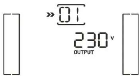 >>01 230v OUTPUT