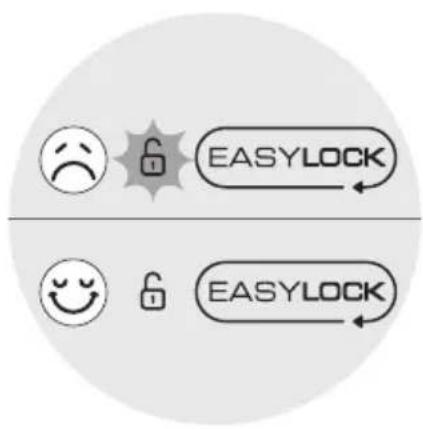 graph TD A["Emiley face"] --> B["Lock Icon"] C["Smiling face"] --> D["Lock Icon"] B --> E["EASYLOCK"] D --> F["EASYLOCK"]