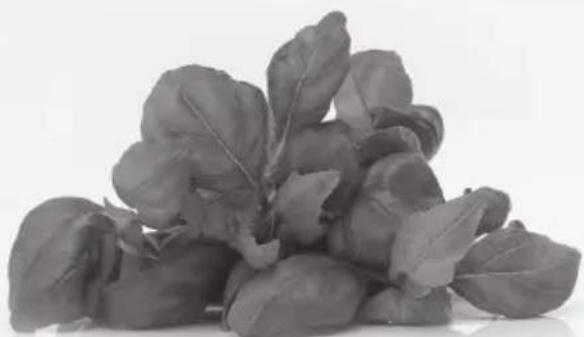 Black and white photo of fresh leafy vegetables (no text or symbols visible)