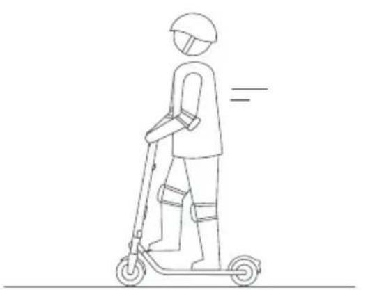 SEGWAY Ninebot KickScooter E22D - Advarsler - 15