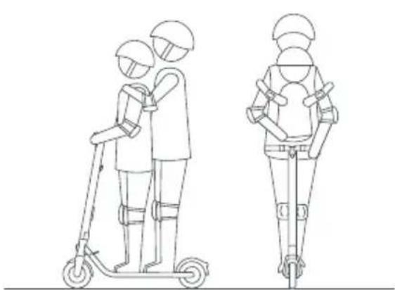 SEGWAY Ninebot KickScooter E22D - Advarsler - 14