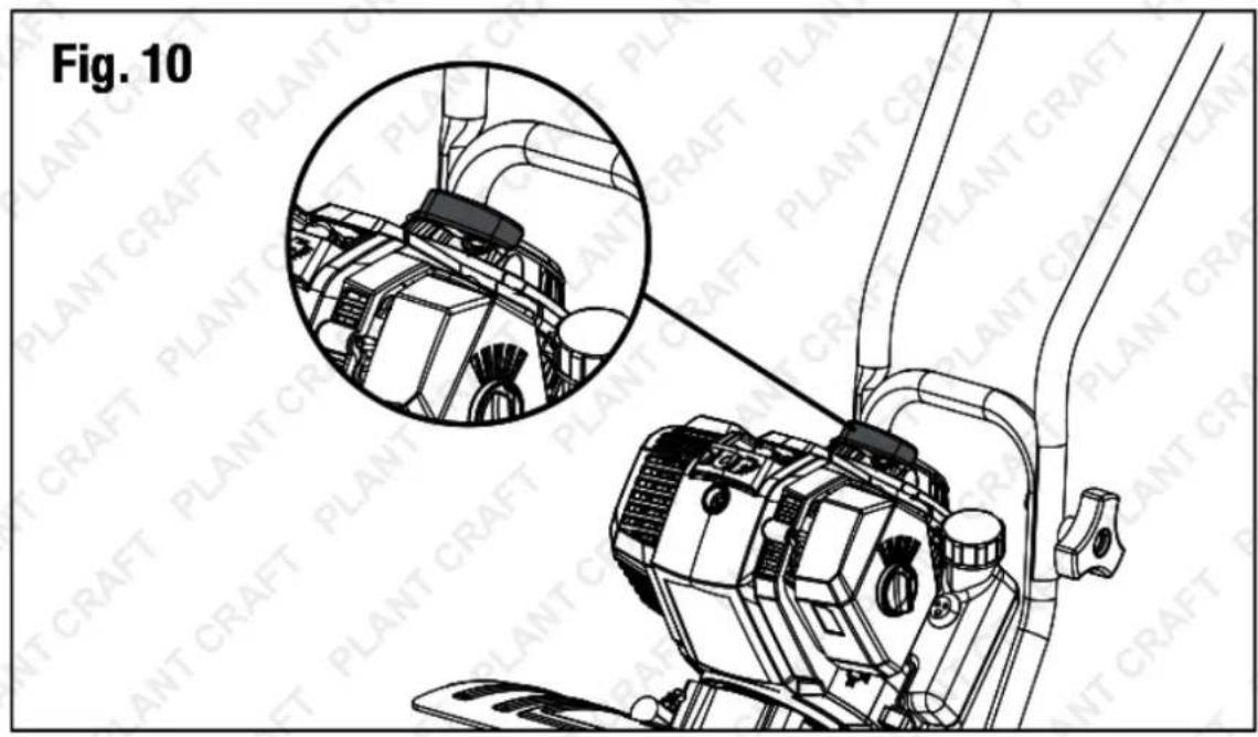 Fig. 10