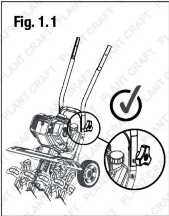 Fig. 1.1