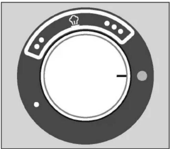 MIELE PIB 100 - Strygesål skylles - 1