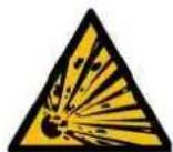 Endress ESE 110 IW/RS - DANGER! - 1