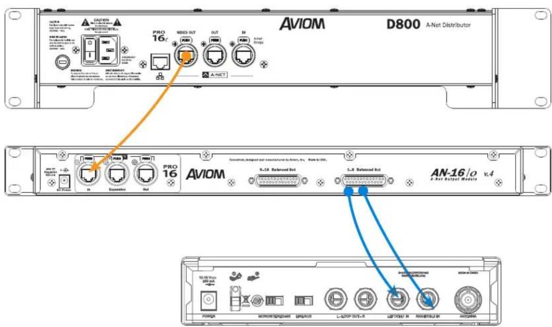 AVIOM D800 A-Net Distributor PRO 16 MRES OUT OUT A-Net AVIOM PRO 16 EPAVATION PRO 16 EPAVATION EPAVATION EPAVATION EPAVATION EPAVATION EPAVATION EPAVATION EPAVATION EPAVATION EPAVATION EPAVATION EPAVATION EPAVATION EPAVATION EPAVATION EPAVATION EPAVATION EPAVATION EPAVATION EPAVATION EPAVITION EPAVITION EPAVITION EPAVITION EPAVITION EPAVITION EPAVITION EPAVITION EPAVITION EPAVITION EPAVITION EPAVITION EPAVITION EPAVITION EPAVITION EPAVITION EPAVITION EPAVITION EPAVITION EPAVITION EPAVUTION EPAVUTION EPAVUTION EPAVUTION EPAVUTION EPAVUTION EPAVUTION EPAVUTION EPAVUTION EPAVUTION EPAVUTION EPAVUTION EPAVUTION EPAVUTION EPAVUTION EPAVUTION EPAVUTION EPAVUTION EPAVUTION EPAVUTION EPAVOLUTION EPAVOLUTION EPAVOLUTION EPAVOLUTION EPAVOLUTION EPAVOLUTION EPAVOLUTION EPAVOLUTION EPAVOLUTION EPAVOLUTION EPAVOLUTION EPAVOLUTION EPAVOLUTION EPAVOLUTION EPAVOLUTION EPAVOLUTION EPAVOLUTION EPAVOLUTION EPAVOLUTION EPAVOLUTION EPAVUTION EPAVUTION EPAVUTION EPAVUTION EPAVUTION EPAVUTION EPAVUTION EPAVUTION EPAVUTION EPAVUTION EPAVUTION EPAVUTION EPAVUTION EPAVUTION EPAVUTION EPAVUTION EPAVUTION EPAVUTION EPAVUTION EPAV-sections designed not manufactured by Avion, Eo. Made to UTR. 9-16 Balanced Out 5-8 Balanced Out AN-16/o v.4 A-net Output Module