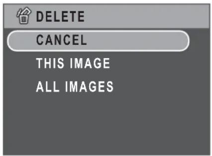 DELETE CANCEL THIS IMAGE ALL IMAGES