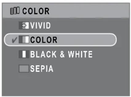 COLOR + VIVID ✓ COLOR ■ BLACK & WHITE □ SEPIA