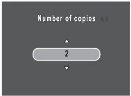 Number of copies i e s 2