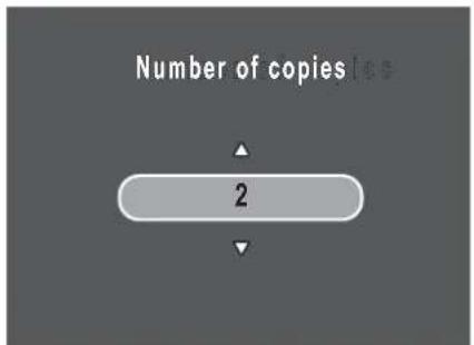 Number of copies 2