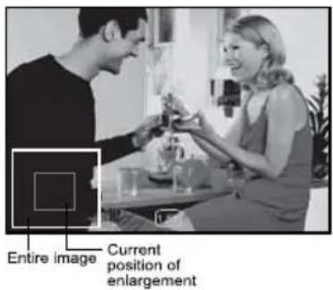 Entire image Current position of enlargement