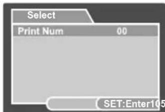Select Print Num 00 SET:Enter105