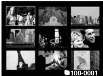 SANYO VPC-T700 - Image Display Information - 3
