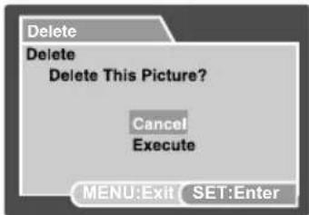 Delete Delete Delete This Picture? Cancel Execute MENU:Exit SET:Enter