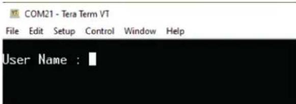 COM21 - Tera Term VT File Edit Setup Control Window Help User Name :