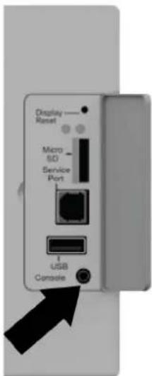 Display Reset Micro S/D Service Port USB Console