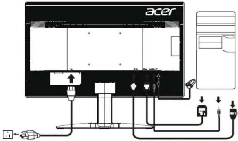 acer