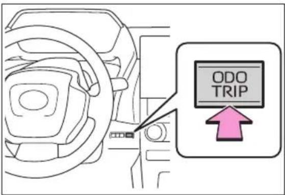ODO TRIP