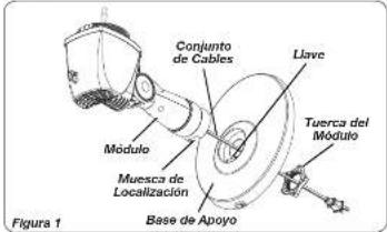 Conjunto de Cables Módulo Muesca de Localización Base de Apoyo Llave Tuerca del Módulo Figura 1