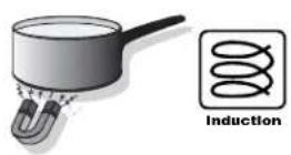 EICO 90 Fusion IQWP - Link - induction eicoli'')nk - 13