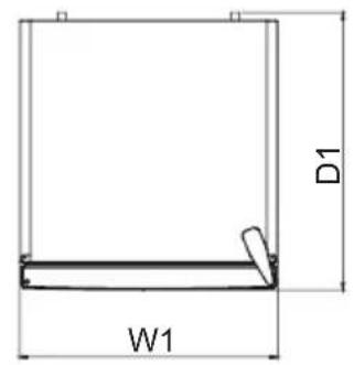D1 W1