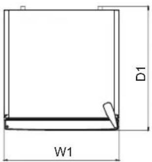 D1 W1