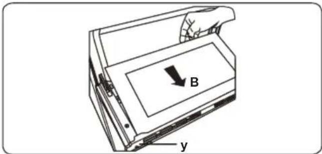 B y