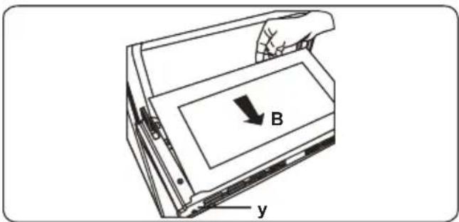 B y
