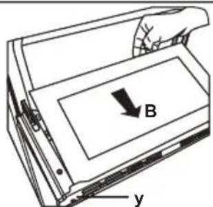 B y