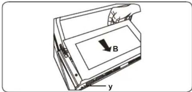 B y