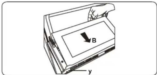 B y
