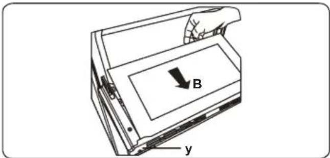 B y