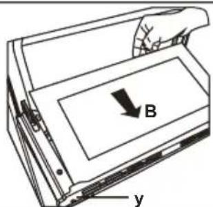 B y