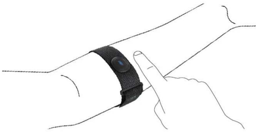 Peloton Guide - CONNECTING THE PELOTON HEART RATE BAND - 1