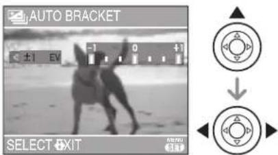 LEICA C-LUX 1 - Taking Pictures using Auto Bracket - 2