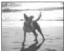 LEICA C-LUX 1 - Under exposed - 5