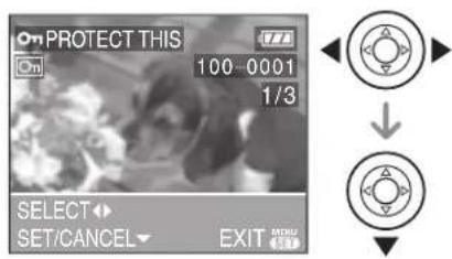 LEICA C-LUX 1 - ■ Single setting - 1