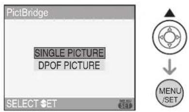 LEICA C-LUX 1 - Press ▲ to select [SINGLE PICTURE] and then press [MENU/SET]. - 1